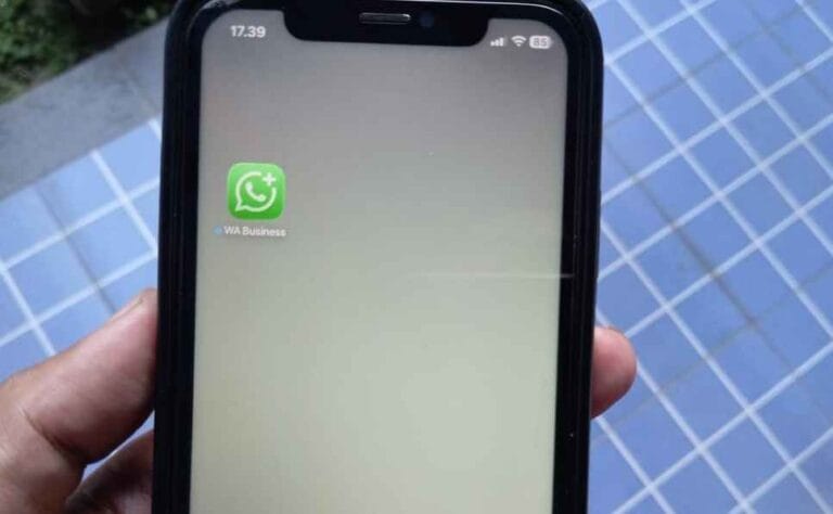 whatsapp-ads-untuk-bisnis