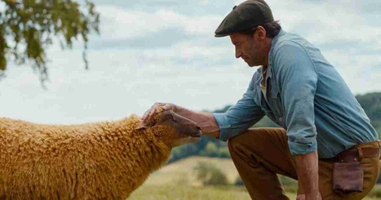 review-film-the-sheep-detectives